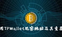 如何使用TPWallet观察地址及