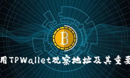 如何使用TPWallet观察地址及其重要性分析