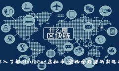 深入了解CloudPet虚拟币：宠
