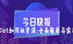 TPWallet如何租资源：全面解