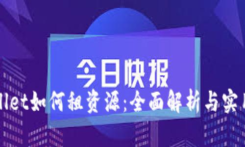 TPWallet如何租资源：全面解析与实用指南