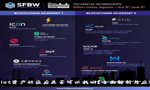 TPWallet资产被盗后是否可以找回？全面解析与应对措施