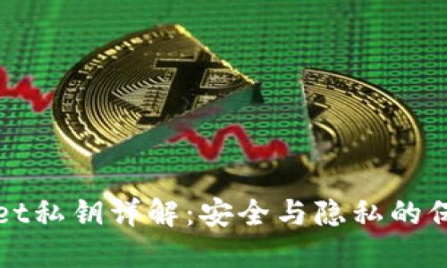 TPWallet私钥详解：安全与隐私的保护机制
