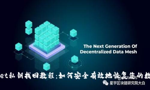 TPWallet私钥找回教程：如何安全有效地恢复您的数字资产