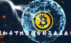 狗狗虚拟币下跌原因分析