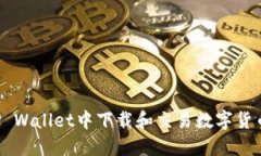: 如何在TP Wallet中下载和交