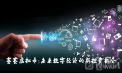 赛赛虚拟币：未来数字经