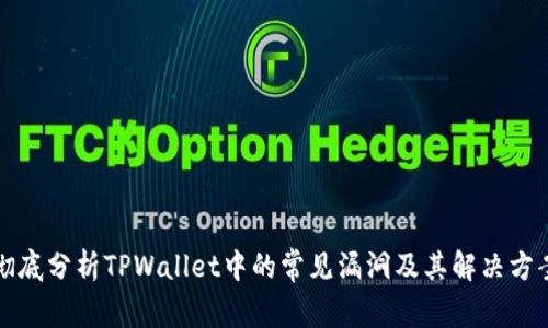 彻底分析TPWallet中的常见漏洞及其解决方案