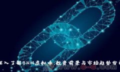 深入了解BHM虚拟币：投资