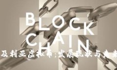 阿尔及利亚虚拟币：发展