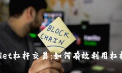 深入解析TPWallet杠杆交易：