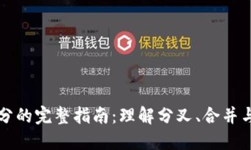 虚拟币拆分的完整指南：理解分叉、合并与市场动向