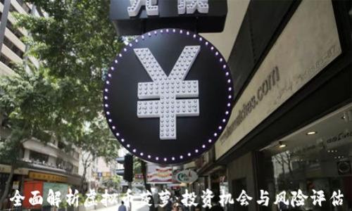
全面解析虚拟币菠萝：投资机会与风险评估