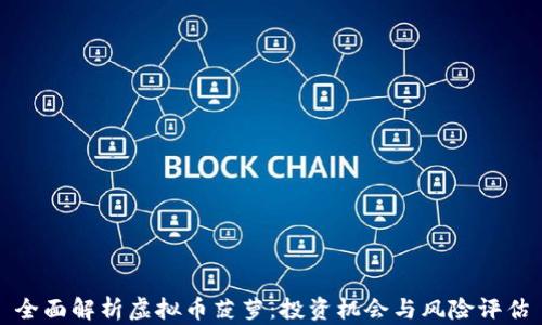 
全面解析虚拟币菠萝：投资机会与风险评估
