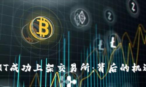 虚拟币MT成功上架交易所：背后的机遇与挑战
