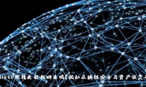 TPWalletU被转走能找回来吗？揭秘区块链安全与资产恢复的方法