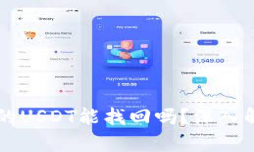 TPWallet被盗的USDT能找回吗？深入解析与解决方案
