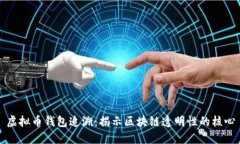 虚拟币钱包追溯：揭示区