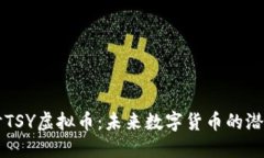 深入探讨TSY虚拟币：未来