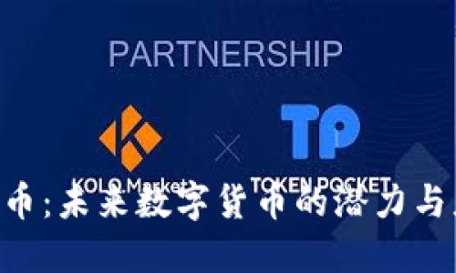 HSD虚拟币：未来数字货币的潜力与应用探讨