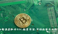 全面解读虚拟币BSC：投资