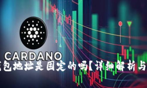 虚拟币钱包地址是固定的吗？详细解析与注意事项