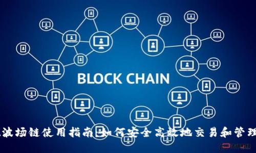 TPWallet波场链使用指南：如何安全高效地交易和管理加密货币