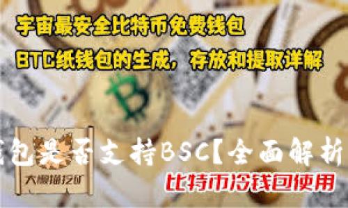 TP桌面版钱包是否支持BSC？全面解析与用户指南