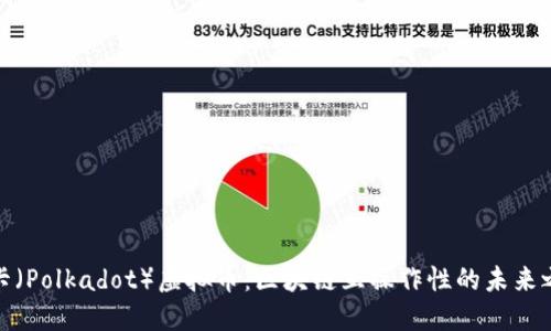 波卡（Polkadot）虚拟币：区块链互操作性的未来之路