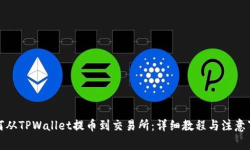 如何从TPWallet提币到交易所：详细教程与注意事项