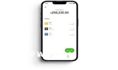 如何查询TPWallet ID：全面指