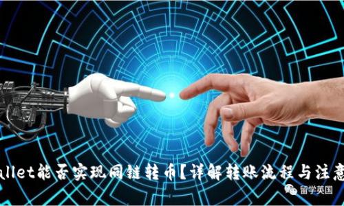 TPWallet能否实现同链转币？详解转账流程与注意事项