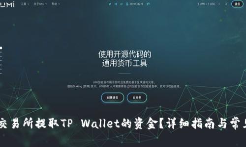 如何在OK交易所提取TP Wallet的资金？详细指南与常见问题解析