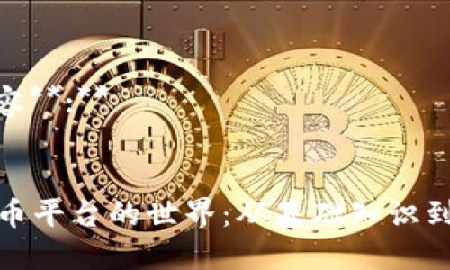 **标记内容**:**


探索虚拟币平台的世界：从基础知识到投资策略