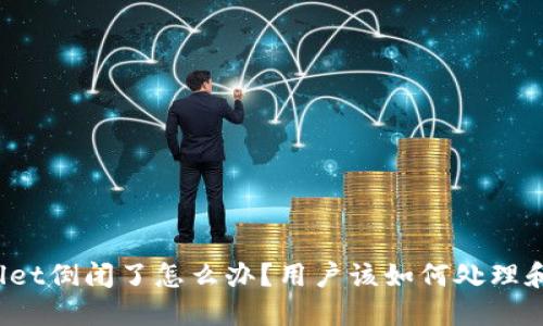 TPWallet倒闭了怎么办？用户该如何处理和应对？