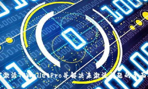 如何激活TPWalletPro并解决未激活问题的全面指南