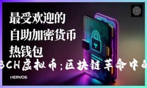 深入了解BCH虚拟币：区块链革命中的一颗明星