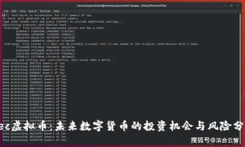 Dec虚拟币：未来数字货币的投资机会与风险分析