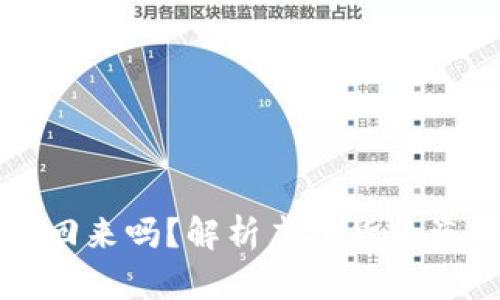 盗钱包虚拟币可以找回来吗？解析虚拟货币盗窃的法律与技术挑战