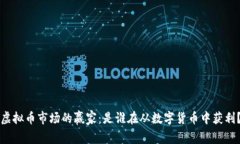 虚拟币市场的赢家：是谁