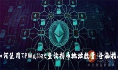 如何使用TPWallet查询持币地
