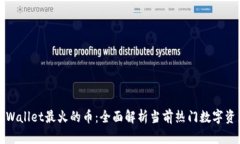 TPWallet最火的币：全面解析