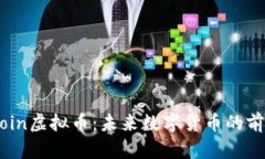 探索Tcoin虚拟币：未来数字