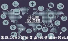  虚拟币暴涨2000倍的背后：