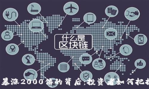  

虚拟币暴涨2000倍的背后：投资者如何把握机会？