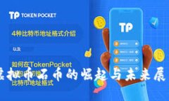 虚拟币石币的崛起与未来