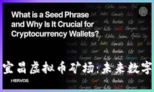 : 深入探索宜昌虚拟币矿场：未来数字资产的热土