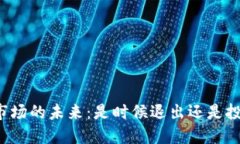 虚拟币市场的未来：是时