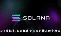 STC虚拟币：未来数字货币