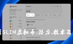 深入解析SLIM虚拟币：潜力